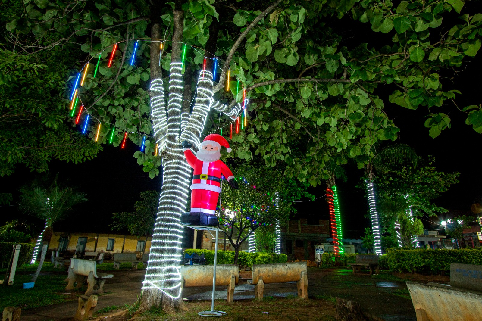 ACENDER DAS LUZES DE NATAL DE CASCALHO RICO E SANTA LUZIA